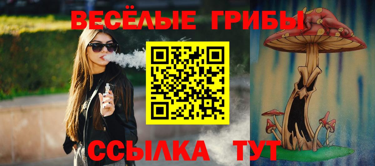 Псилоцибиновые грибы Psilocybine cubensis Мытищи