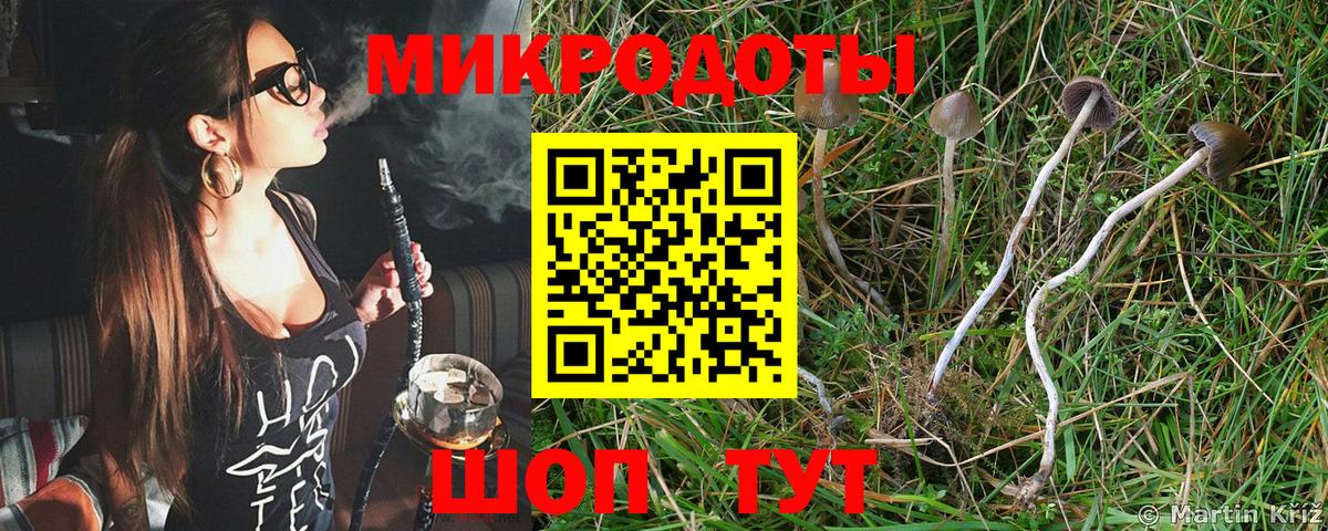 Псилоцибиновые грибы мухоморы  Вход с VPN  Мытищи 